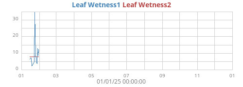 yearwetleaf